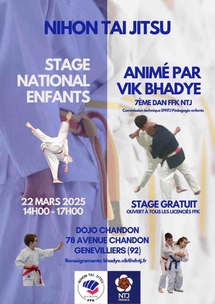 stage Nihon Tai Jitsu enfant gennevilliers